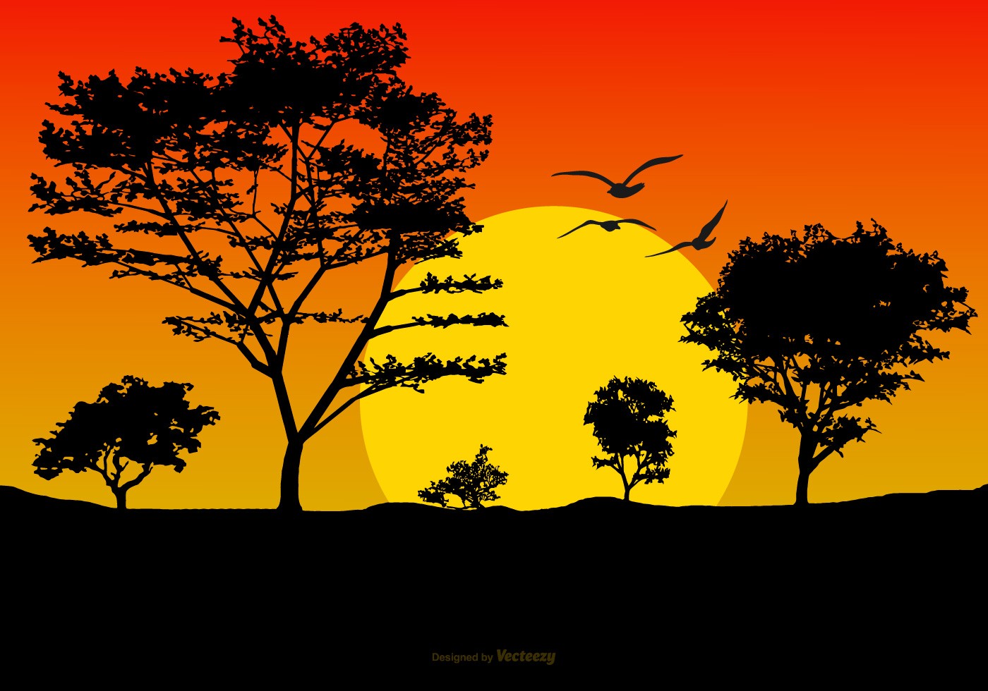 美丽的日落景观插图0