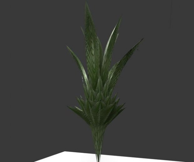 室内盆栽3D模型1