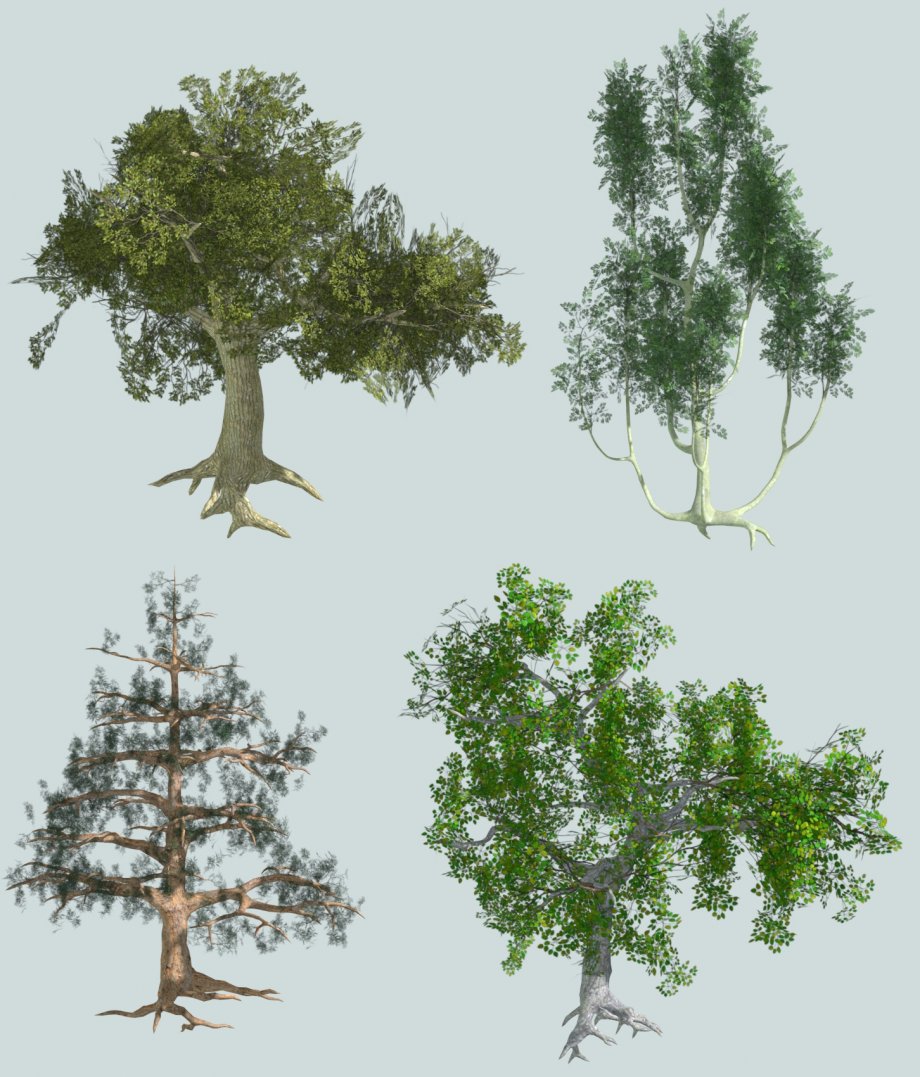 低多边形树木3D模型0