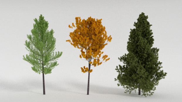 松树3D模型0