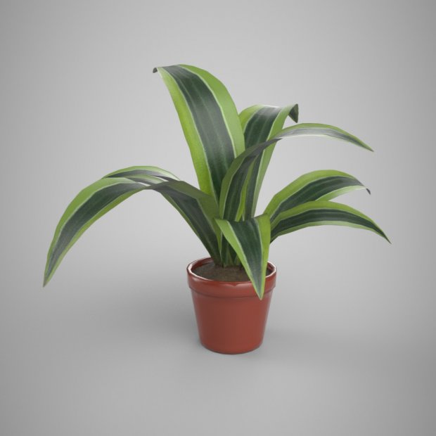 植物盆栽3D模型0