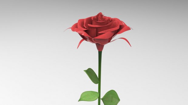 玫瑰3D模型2
