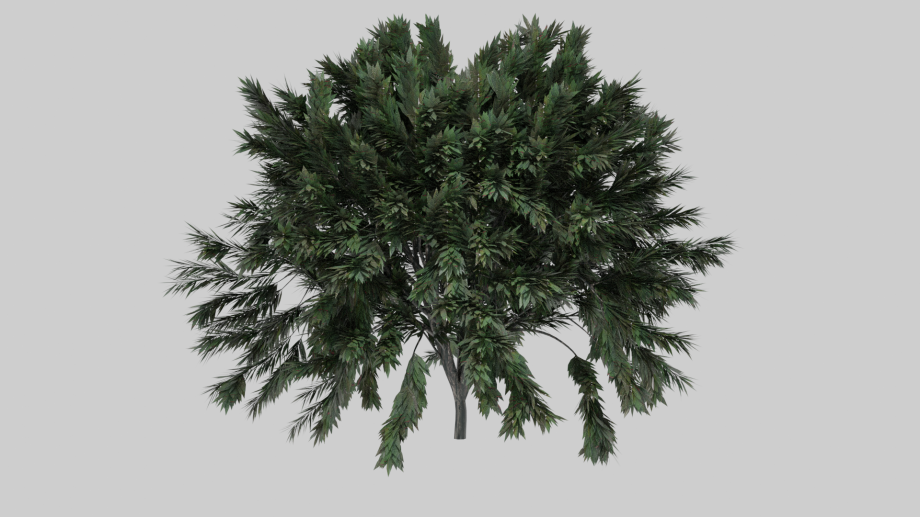 超真实树木3D模型0