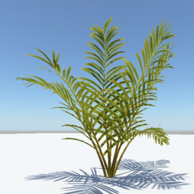 3D棕榈树模型0