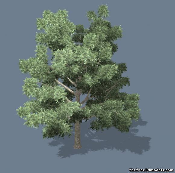 3D树模型0