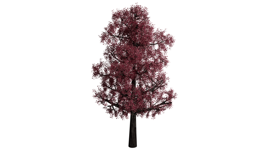 粉色树3D模型0