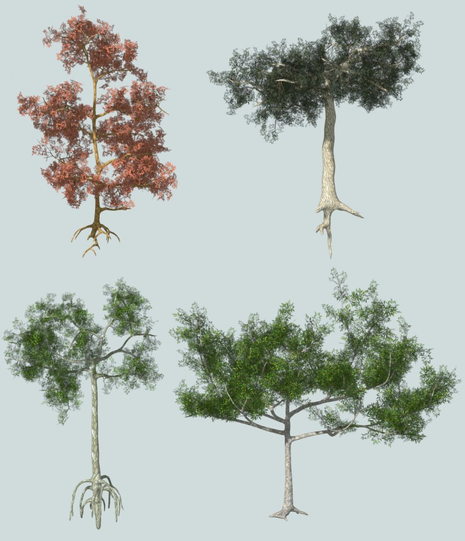 3D低多边形树模型0