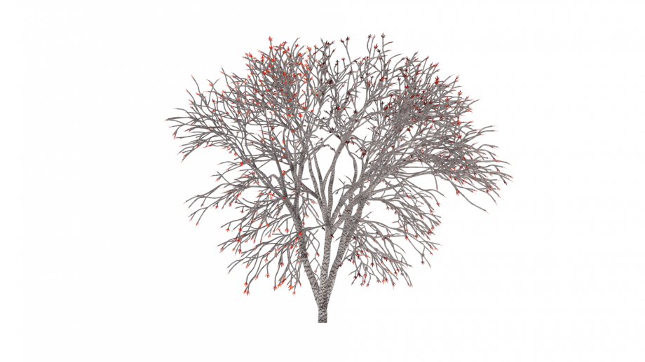 3D树木模型0
