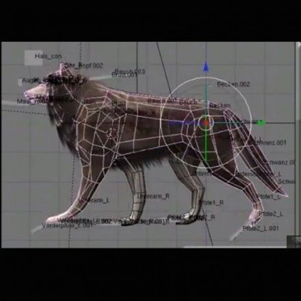 奔跑的狼3D模型1