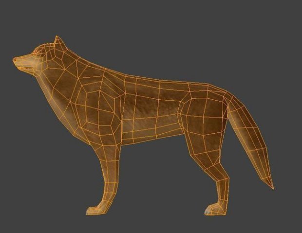 奔跑的狼3D模型2