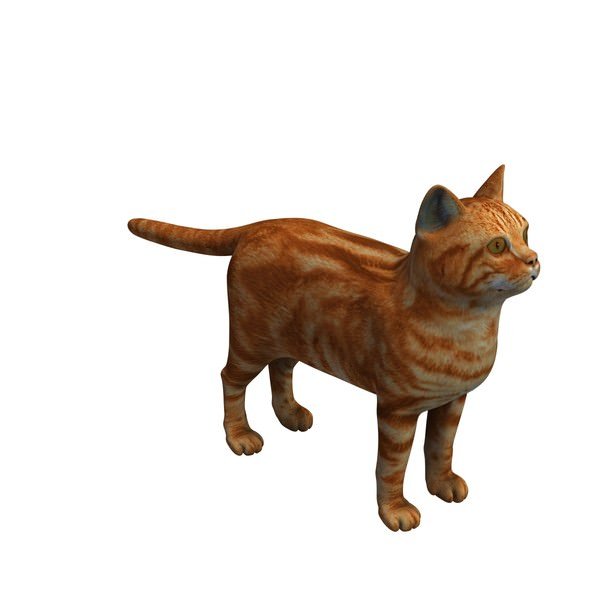橘猫3D模型0