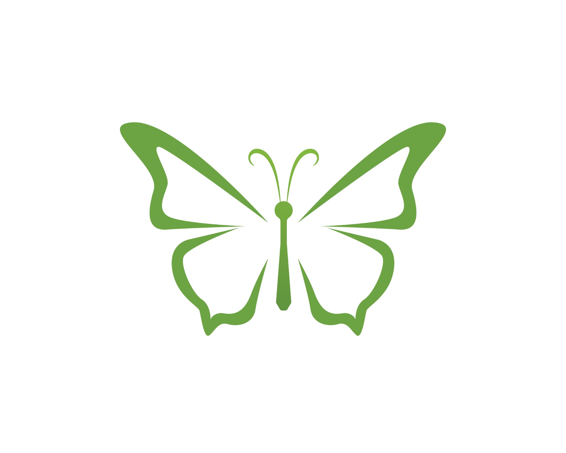绿色蝴蝶插图0