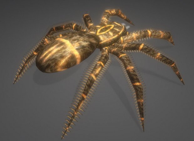 毒蜘蛛3D模型2