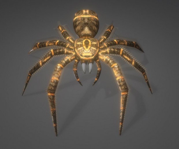 毒蜘蛛3D模型0