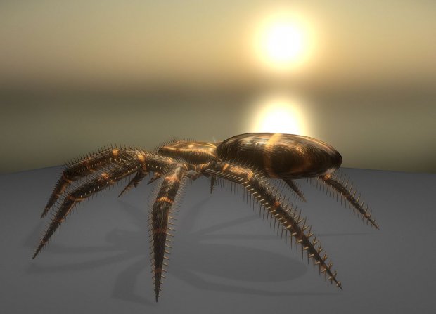 毒蜘蛛3D模型3