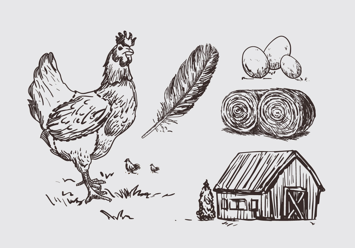 黑白素描鸡插图0