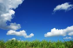蓝天白云和绿色野草