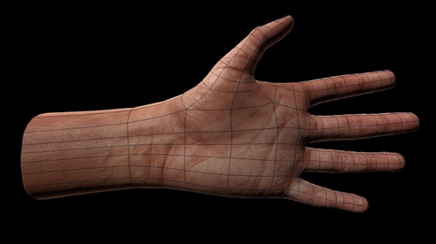 男性手掌3D模型3