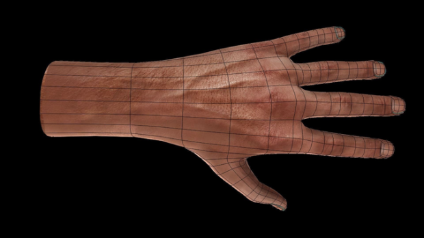 男性手掌3D模型4