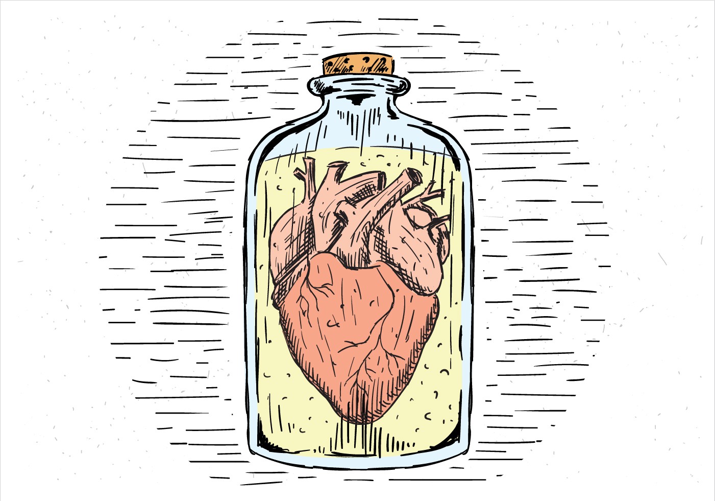 罐子里的心脏插图0