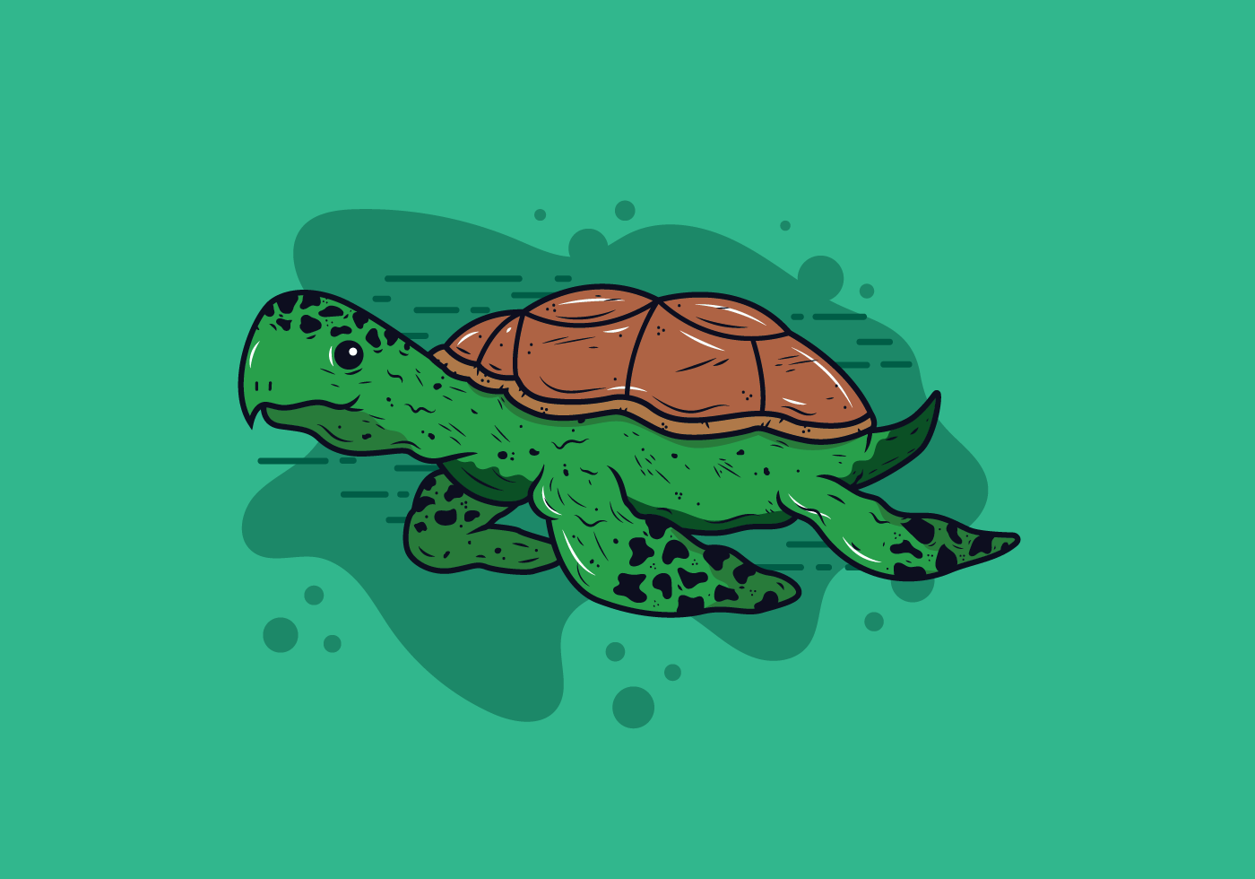 海龟插图0
