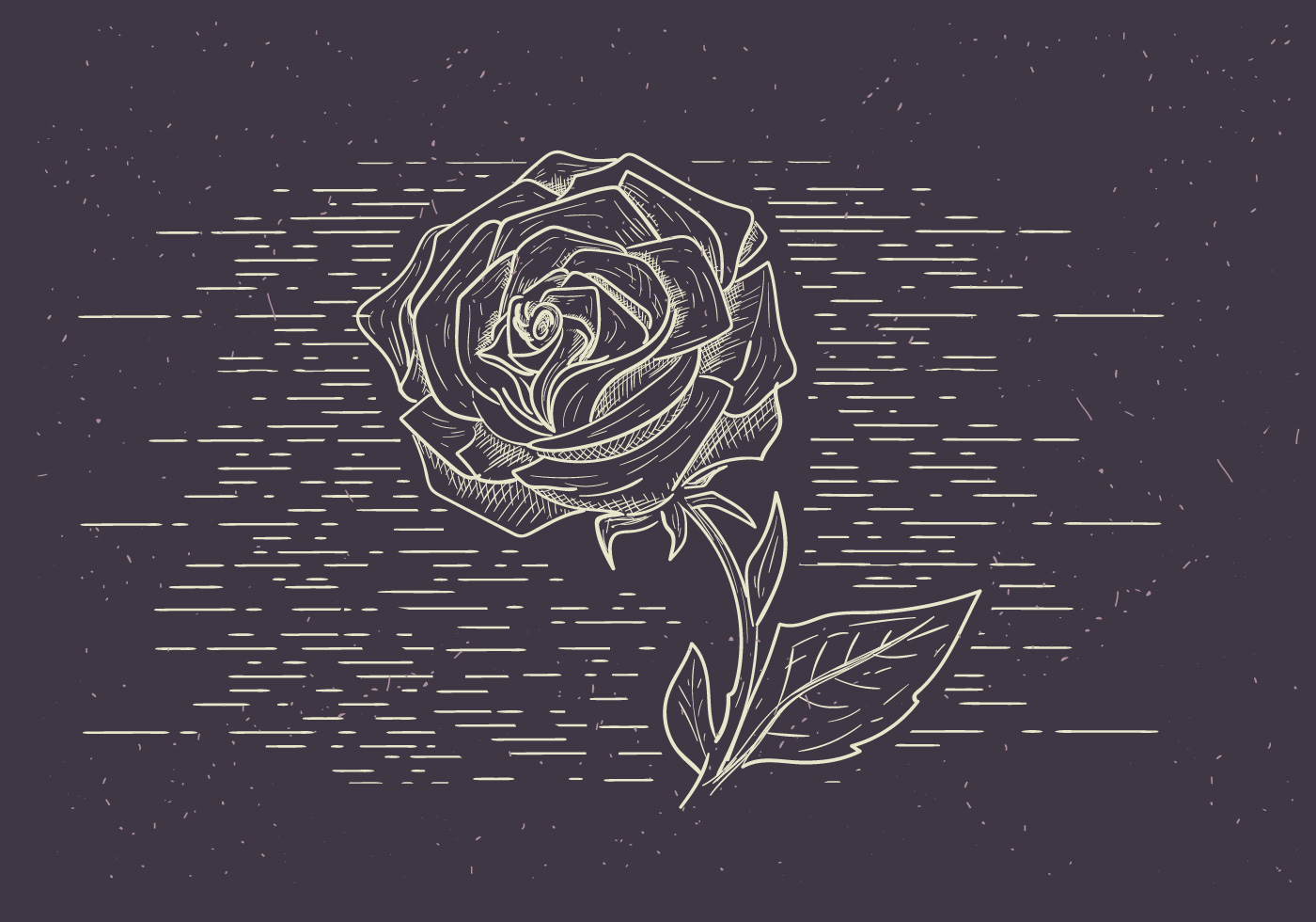 素描玫瑰花插图0