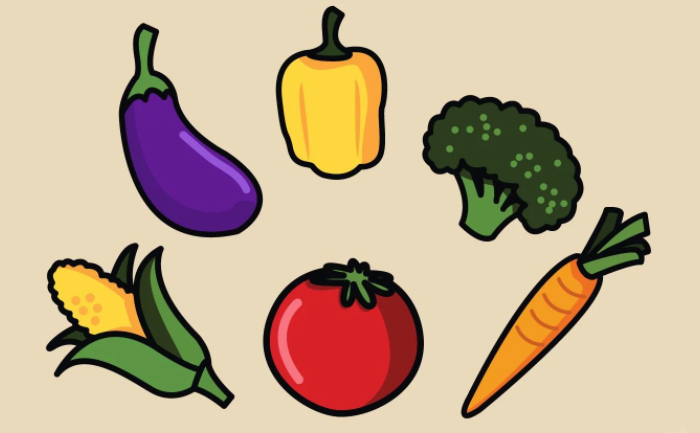 蔬菜插图0