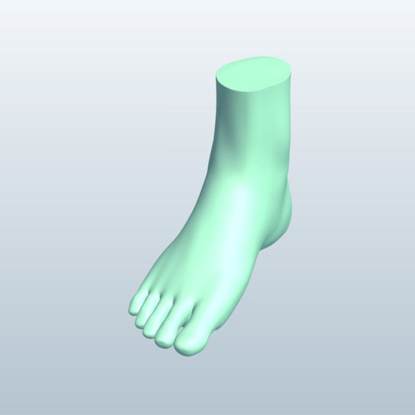 人体脚3D模型0