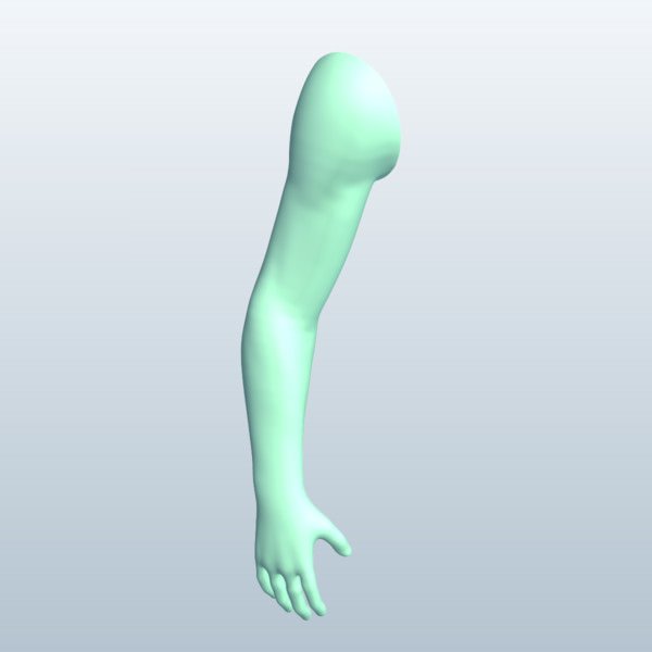低质感手臂3D模型0