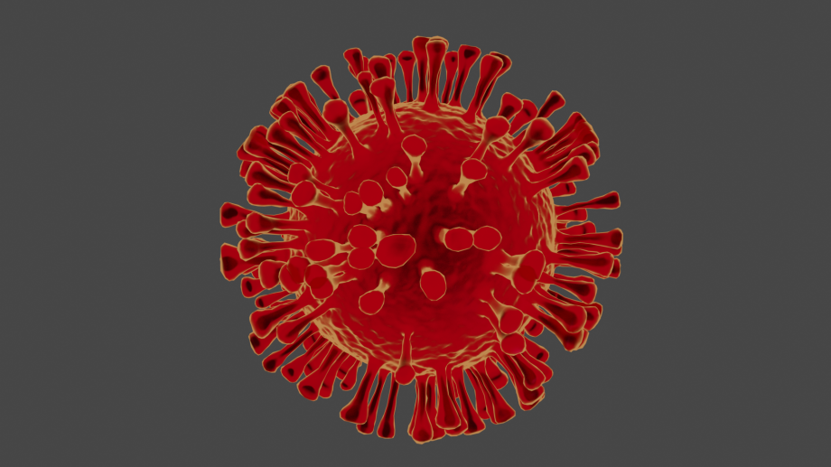 新冠病毒3D模型0