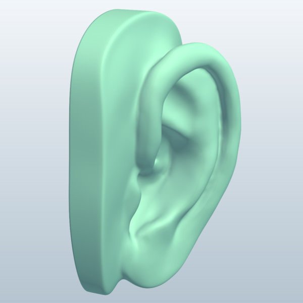 低质感人耳3D模型0