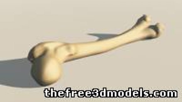 人体腿骨3D模型0