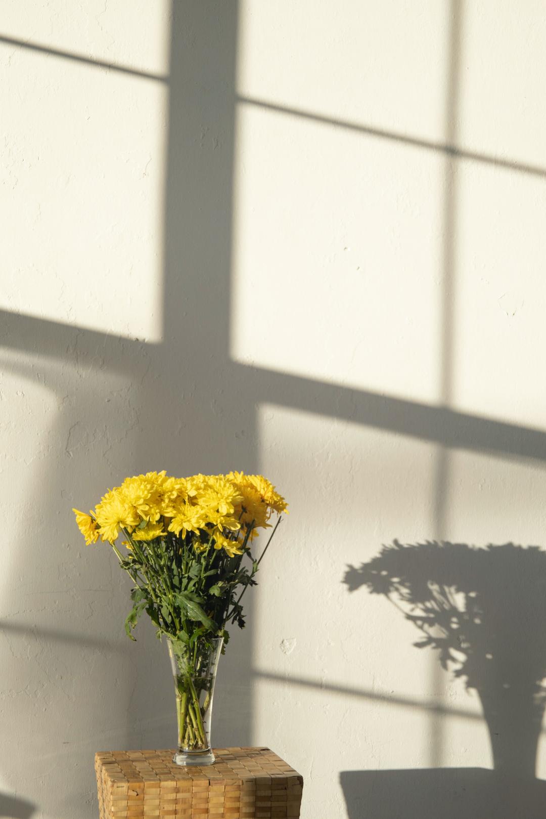 放在花瓶里的花束 高清图片素材 北极熊素材库