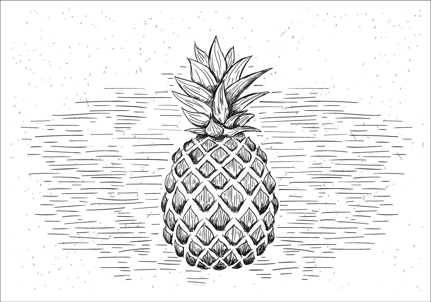 手绘菠萝插图0