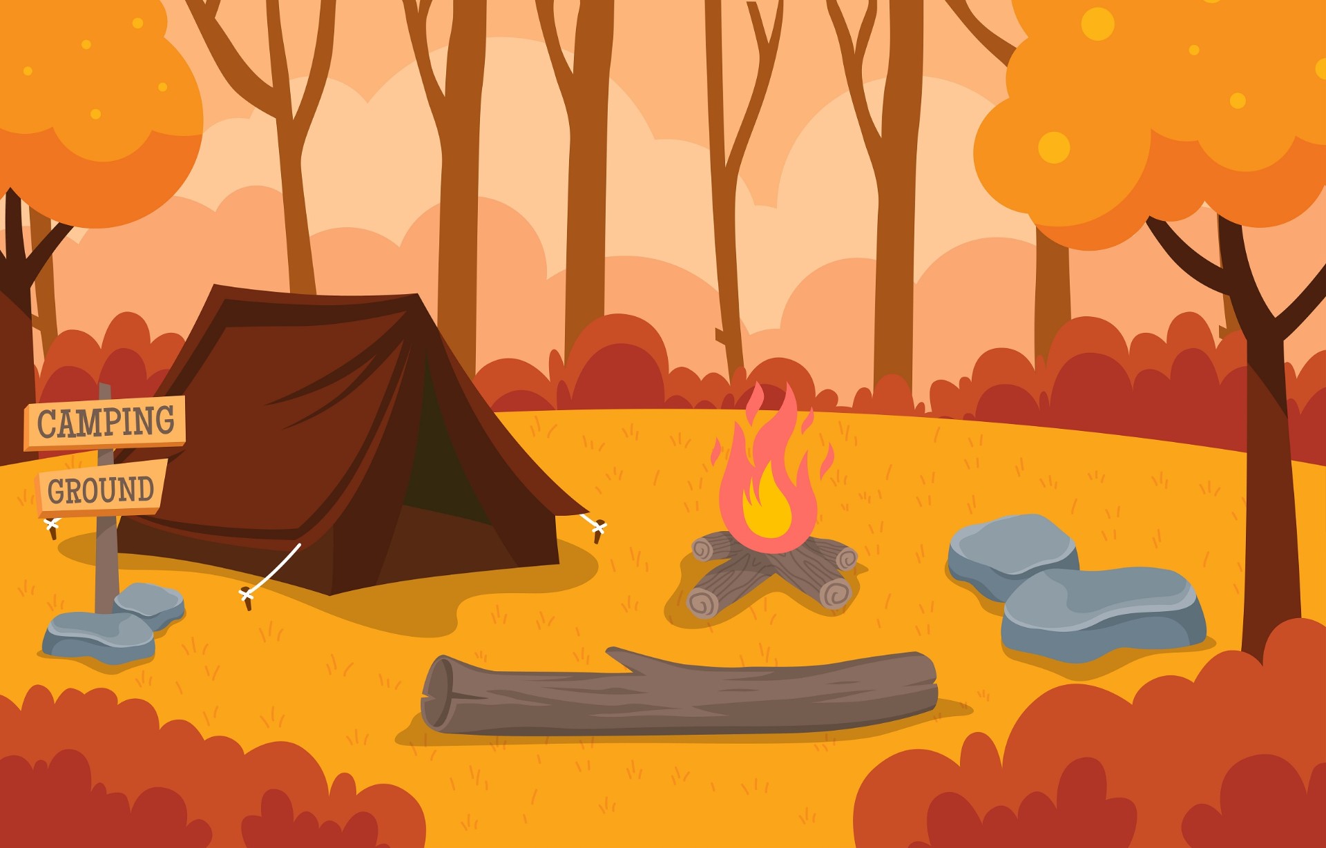 秋季野外露营插图0
