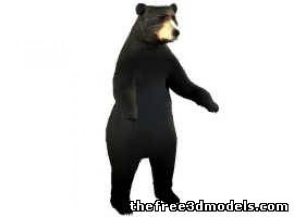 黑熊3D模型0