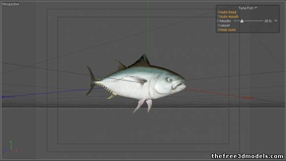 金枪鱼3D模型0