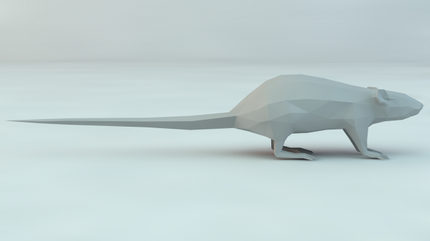 长尾鼠3D模型2