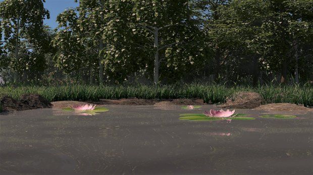 森林湖泊3D模型0