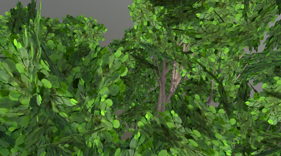 榛子灌木3D模型2