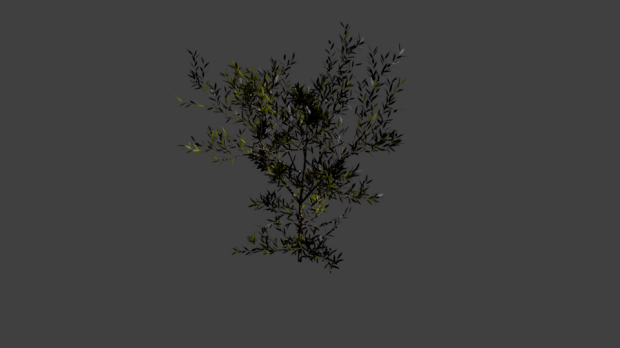 低矮灌木3D模型0