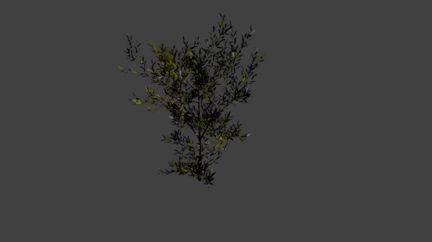 低矮灌木3D模型1