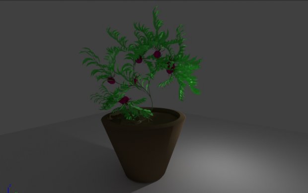 红豆杉盆栽3D模型0