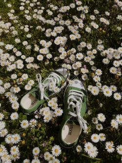花丛里的鞋
