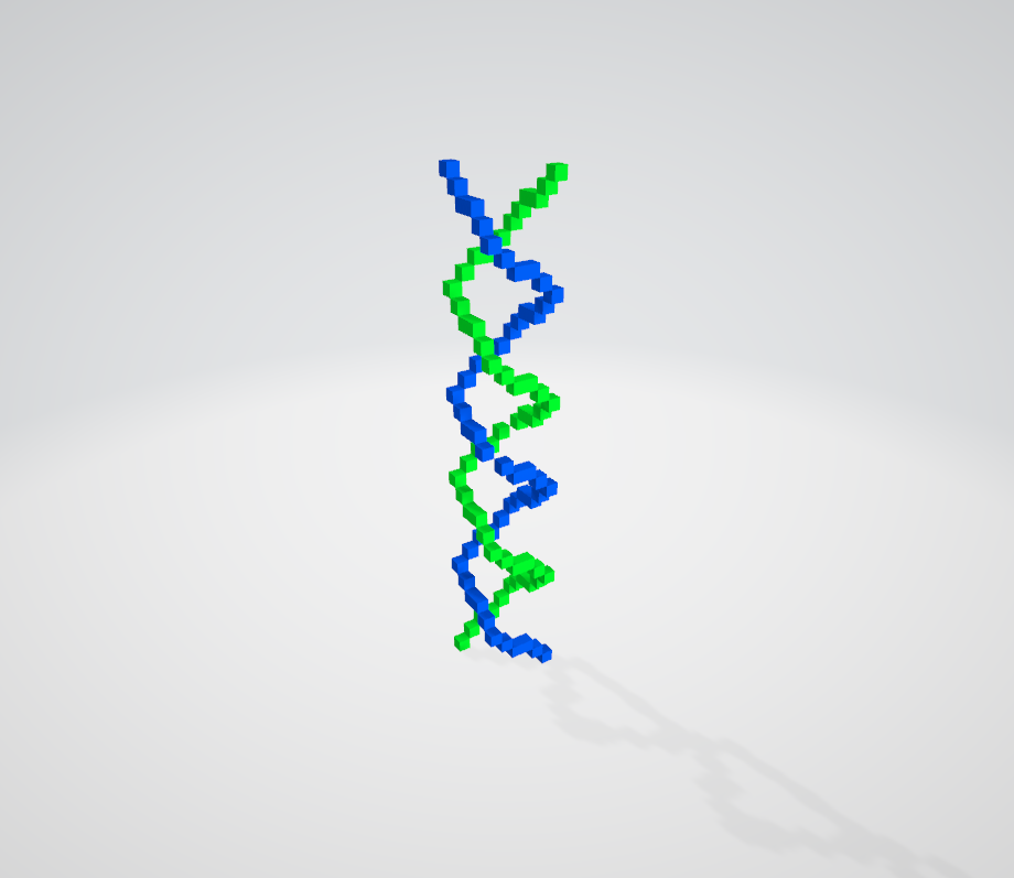 DNA3d模型1