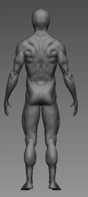 男性人体模型0