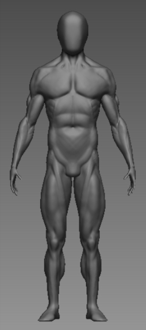男性人体模型1