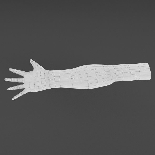 手臂3d模型4