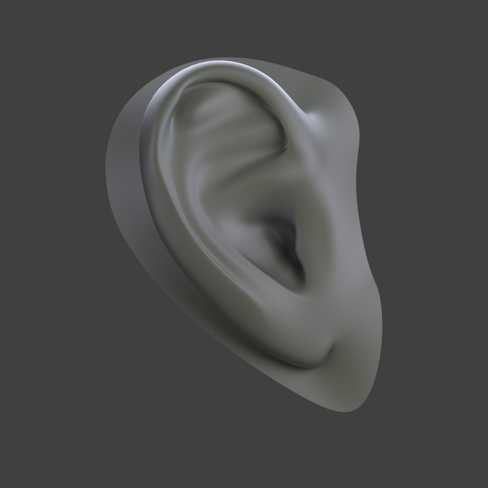 耳朵3d模型2
