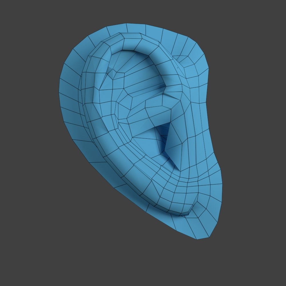 耳朵3d模型3